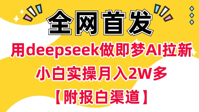 用deepseek做即梦Ai拉新 小白实操月入过W+【附报白渠道】-创课星球资源网-金维维的个人IP平台