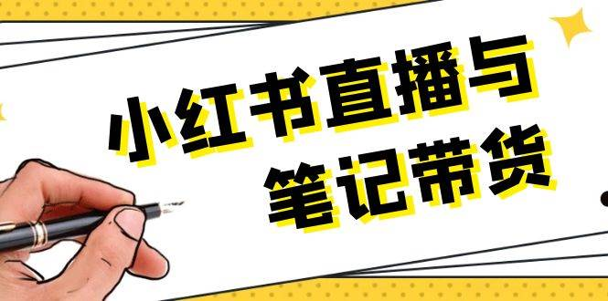 徐老师小红书笔记带货与直播-创课星球网-金维维的个人IP平台