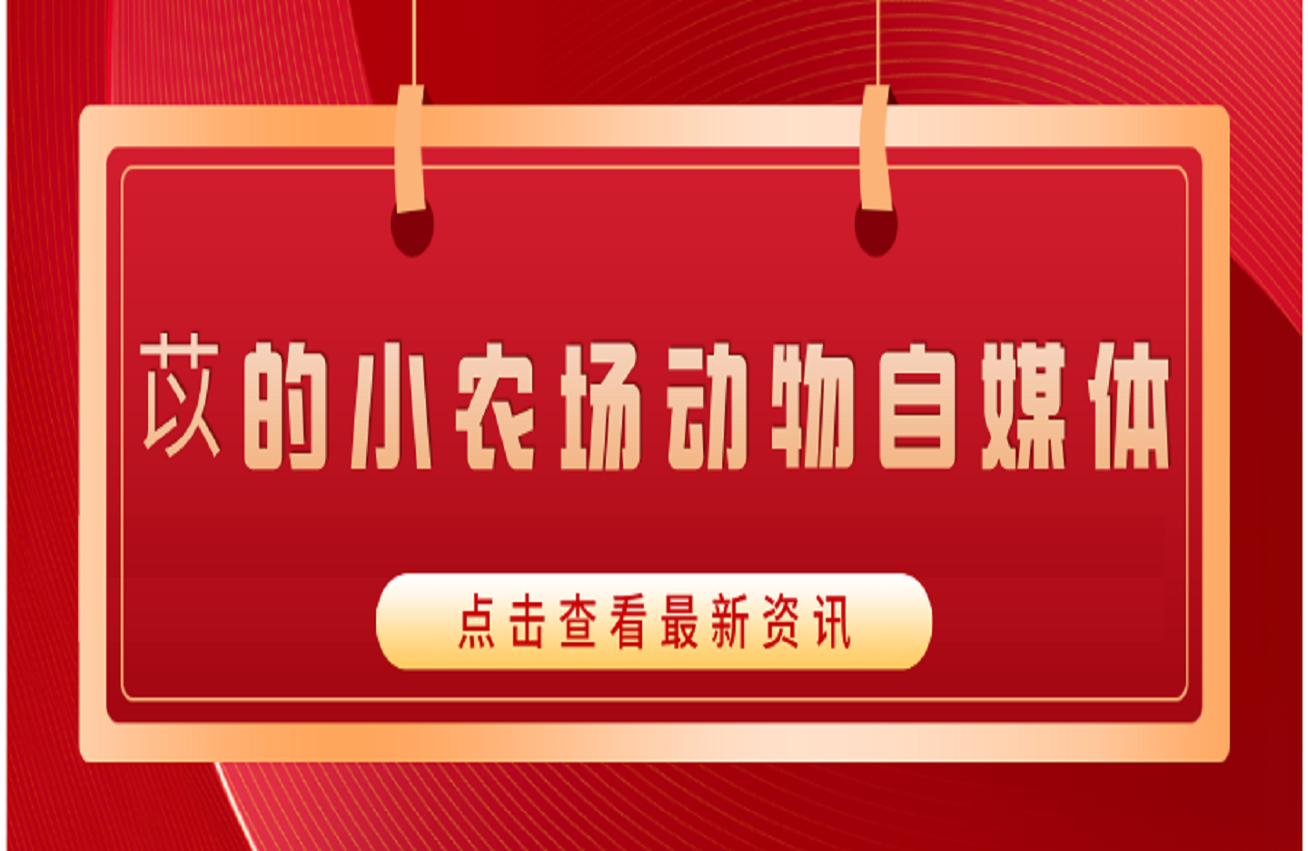苡的小农场动物自媒体-创课星球网-金维维的个人IP平台